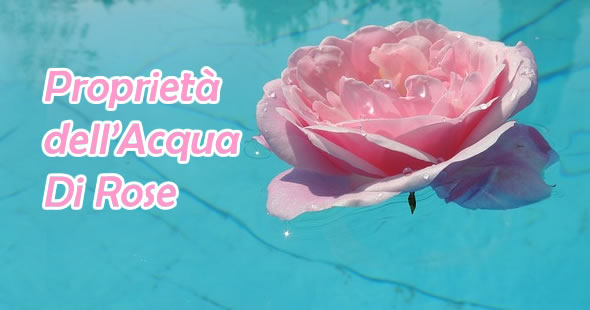 proprietà dell'acqua di rose