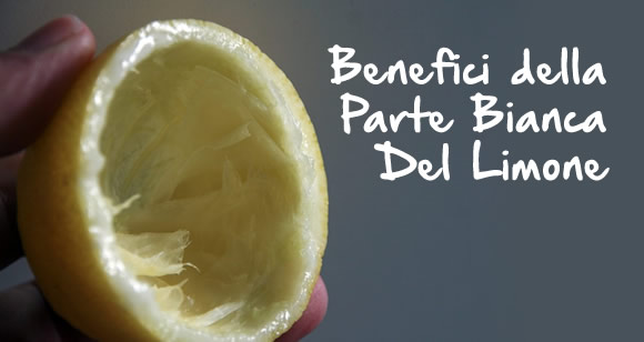 benefici della parte bianca del limone