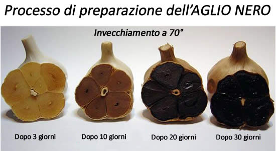 processo preparazione aglio nero