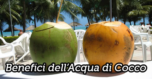 benefici acqua di cocco