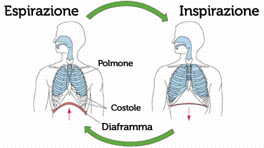 controlla 3 tipi respirazione