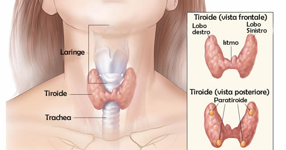 ricette tiroide