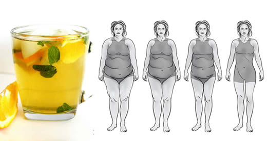 bevanda te verde perdere peso