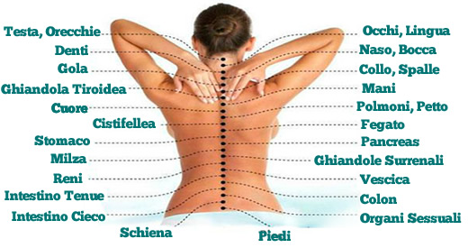 colonna vertebrale dolori