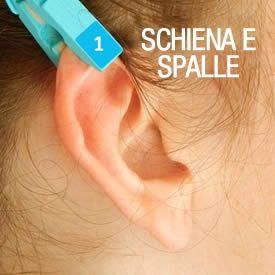 schiena e spalle