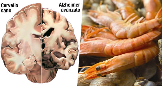 alzheimer frutti di mare