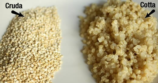proprieta benefici quinoa
