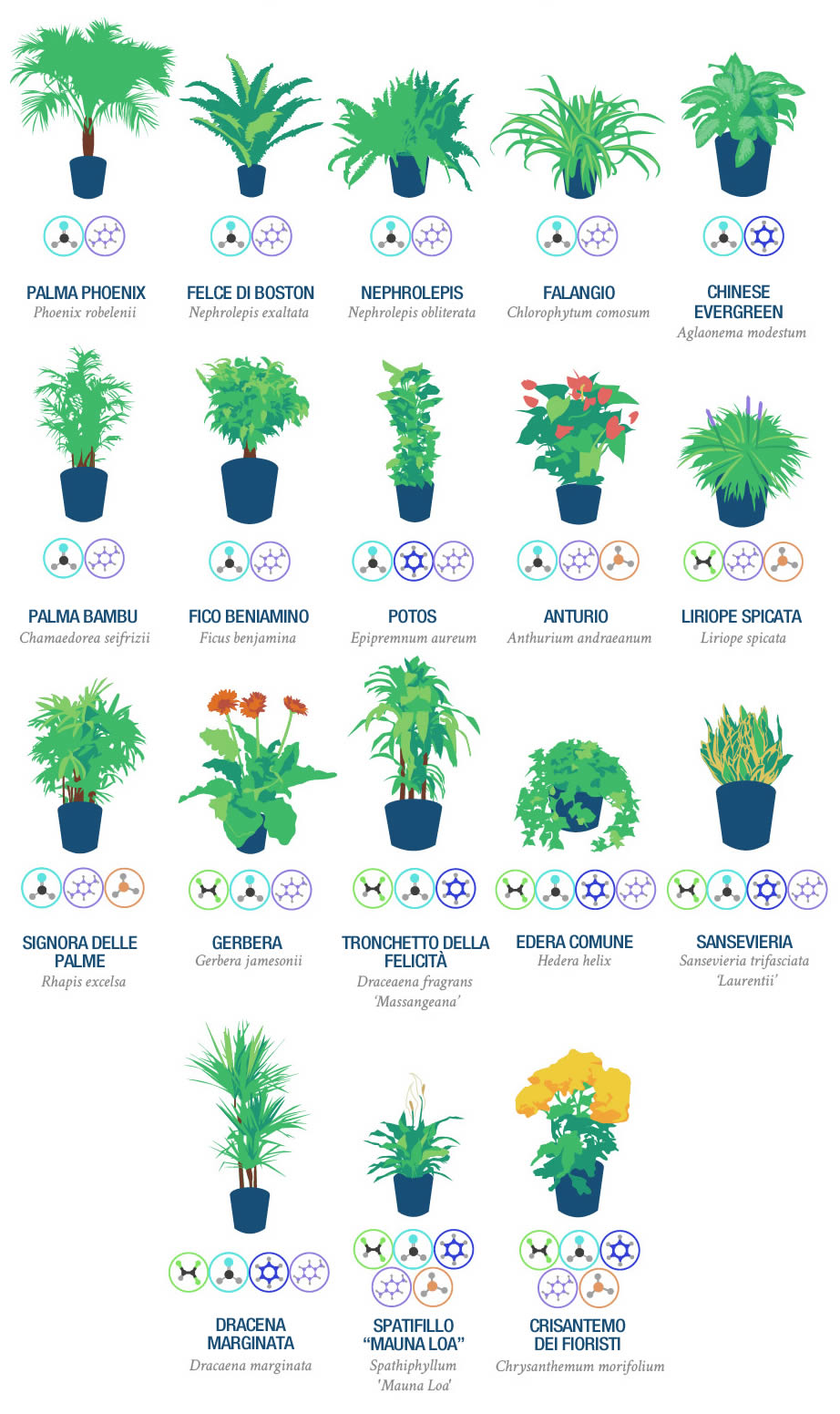 18 piante consigliate dalla nasa