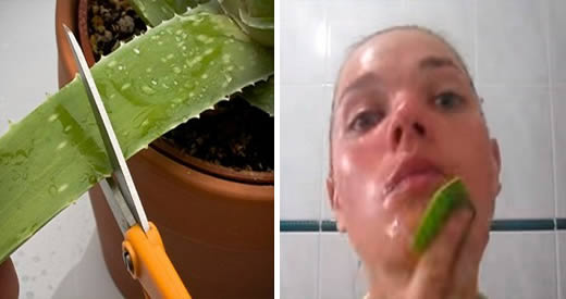 aloe vera per il viso