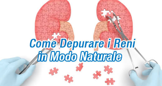 come depurare i reni in modo naturale