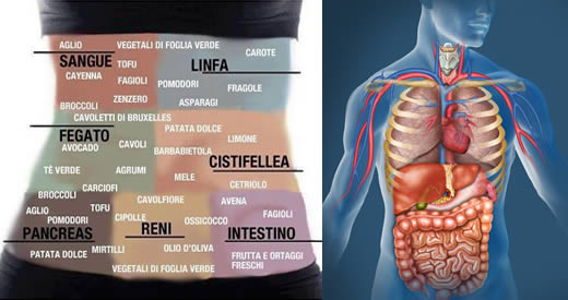 disintossicare organi