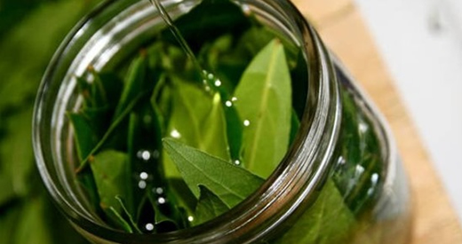olio d oliva foglie di alloro