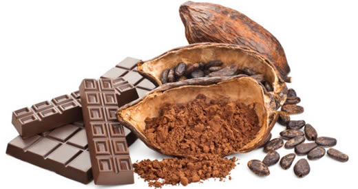 propriétés bénéfiques du cacao