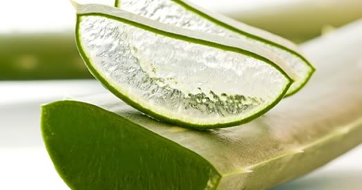 18 benefici aloe vera