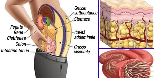 rimedio-parassiti