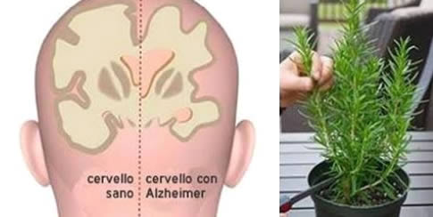 Set 4 Puzzle Grandi 24 Pezzi Per Anziani Con Demenza E Alzheimer – Facili Da Impugnare, Con Immagini Di Animali E Paesaggi, Attività Cognitive, Regalo Per Terapia Occupazionale