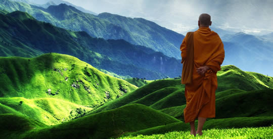 7 Frasi Buddiste Che Ti Cambieranno La Vita