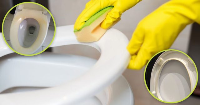 Madeals Copertura Del Coperchio Del Water In Microfibra Morbida