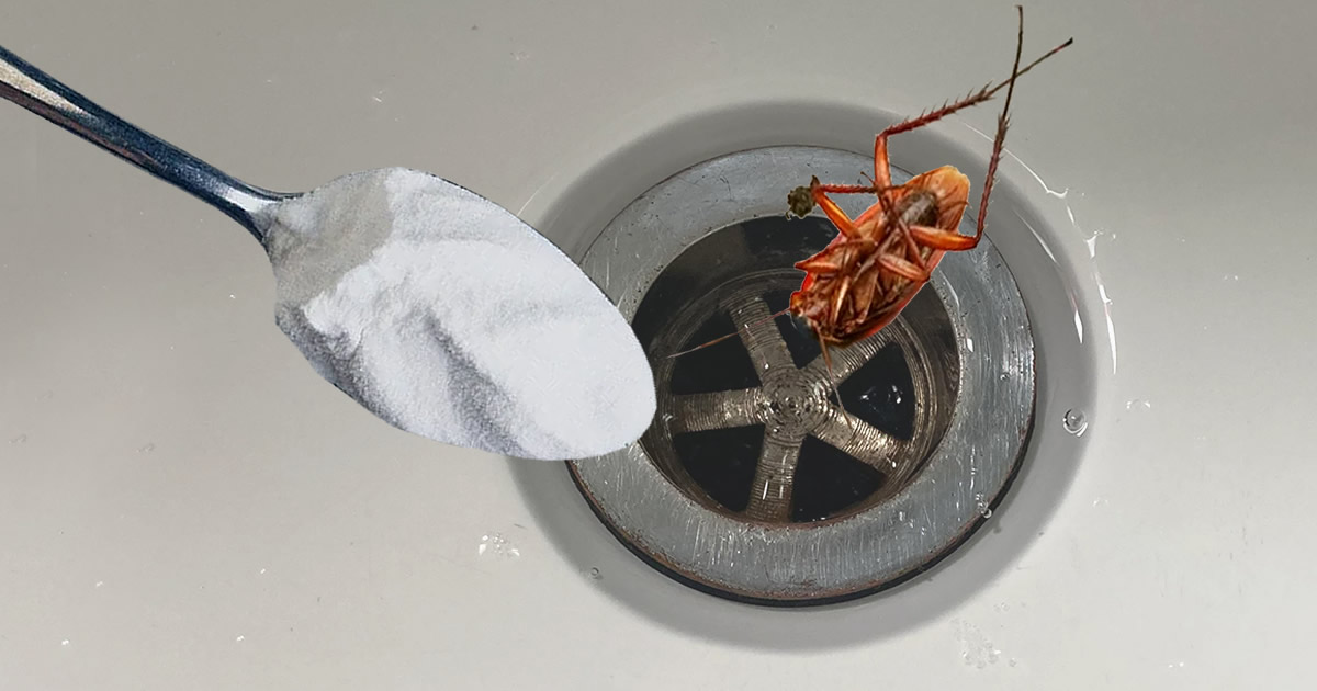 Scarico A Pressione Per Lavandino 66 Mm Quadrato - Click Clack In Ottone Cromato, Per Bagno E Cucina